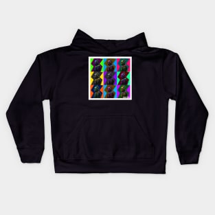 Rainbow panthers Kids Hoodie